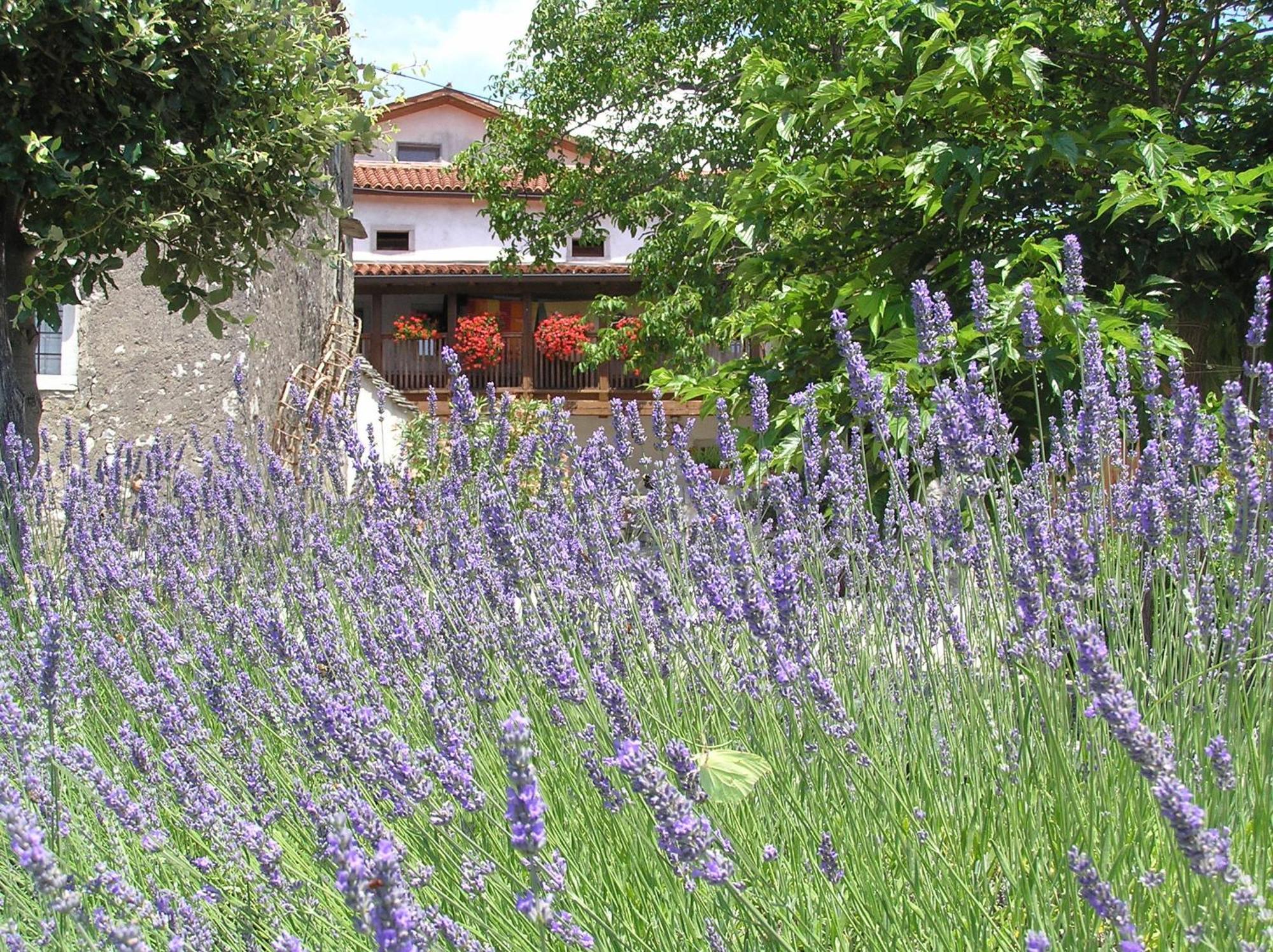 Pliskovica Youth Hostel Ngoại thất bức ảnh